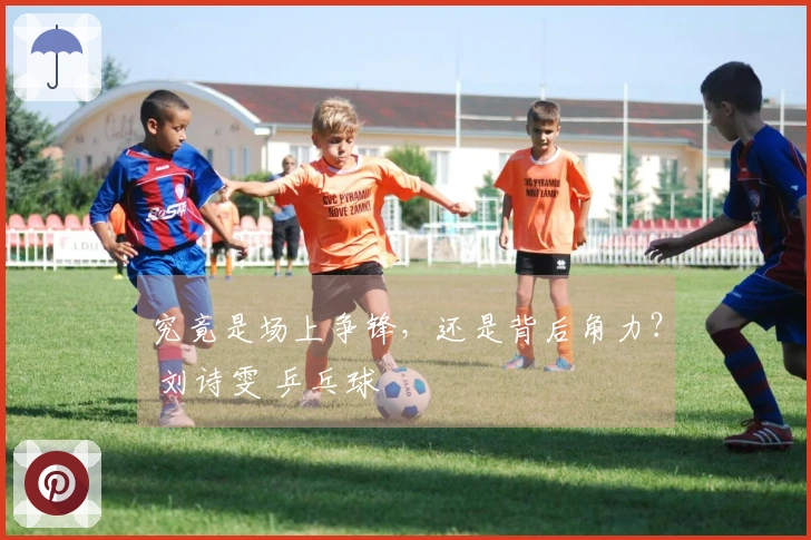 究竟是场上争锋，还是背后角力？ 刘诗雯 乒乓球