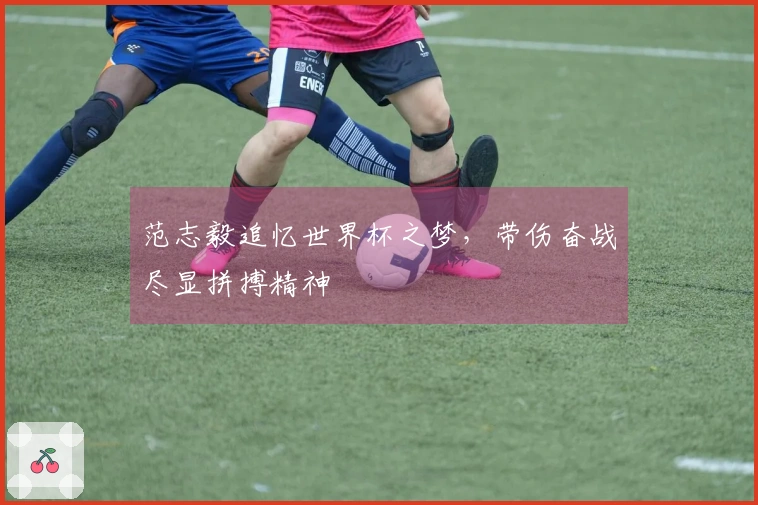 范志毅追忆世界杯之梦，带伤奋战尽显拼搏精神