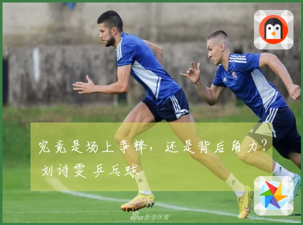 究竟是场上争锋，还是背后角力？ 刘诗雯 乒乓球