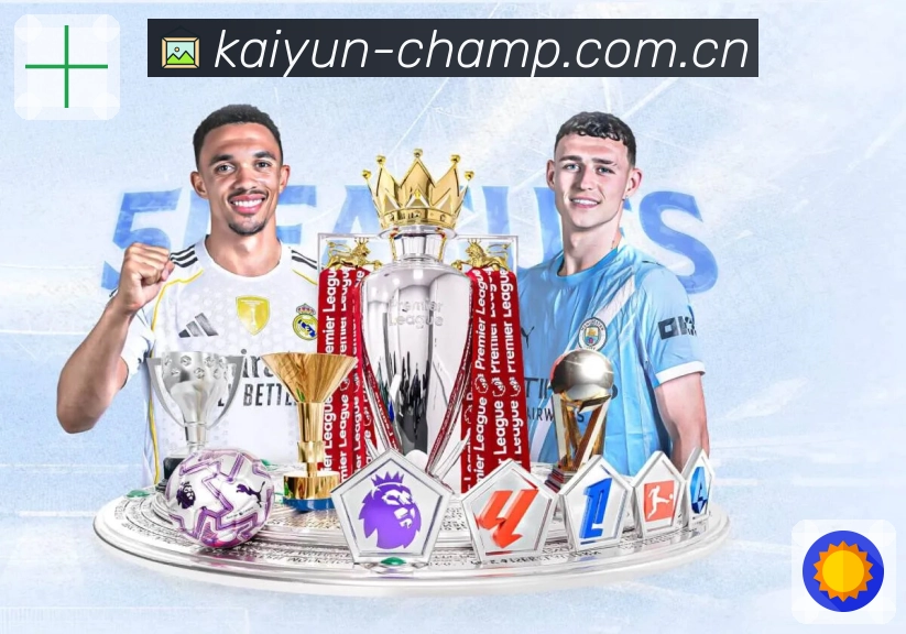 <strong>开云App</strong>界面展示